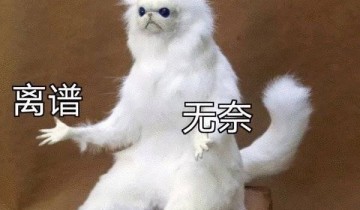 换域名了